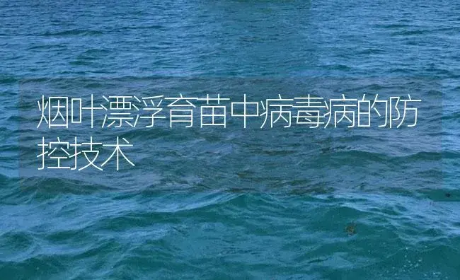 烟叶漂浮育苗中病毒病的防控技术 | 植物病虫害