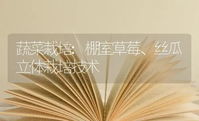 蔬菜栽培:棚室草莓、丝瓜立体栽培技术 | 蔬菜种植