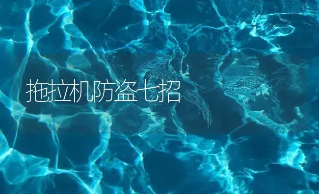 拖拉机防盗七招 | 农资农机