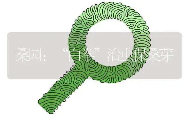 桑园：“白拳”治虫保桑芽 | 植物病虫害