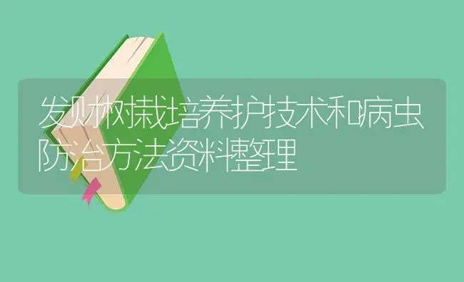 发财树栽培养护技术和病虫防治方法资料整理 | 植物病虫害