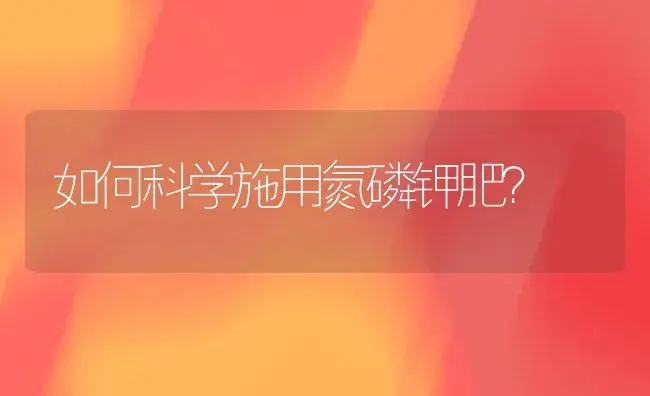 如何科学施用氮磷钾肥？ | 植物肥料