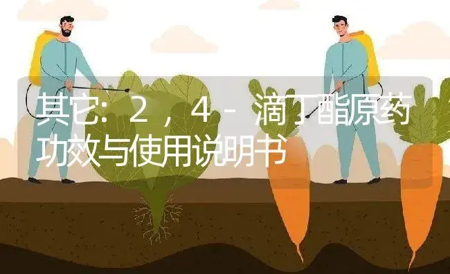 其它：2，4-滴丁酯原药 | 适用防治对象及农作物使用方法说明书 | 植物农药