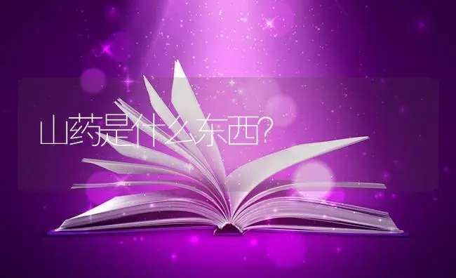 山药是什么东西？ | 蔬菜种植