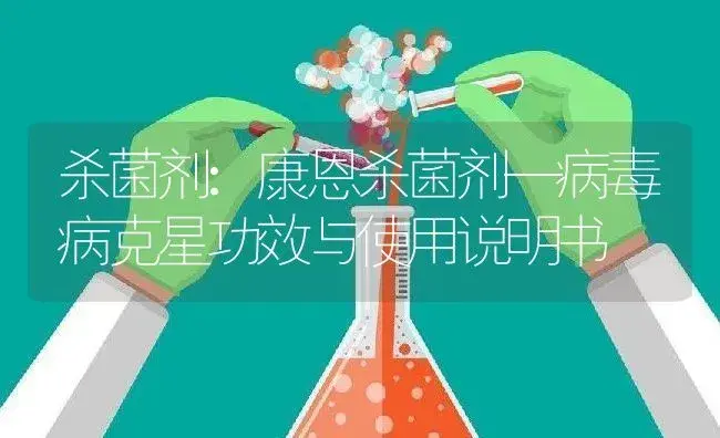 杀菌剂：康恩杀菌剂—病毒病克星 | 适用防治对象及农作物使用方法说明书 | 植物农药