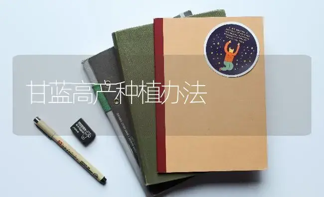 甘蓝高产种植办法 | 蔬菜种植