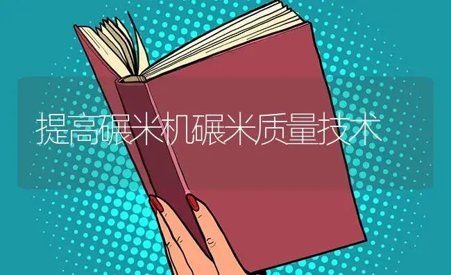 提高碾米机碾米质量技术 | 农资农机