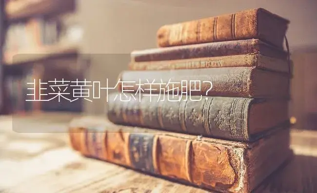 柑橘环割时间在什么时候？柑橘环割小心事项； | 蔬菜种植