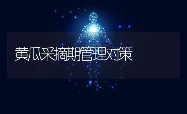 黄瓜采摘期管理对策 | 蔬菜种植