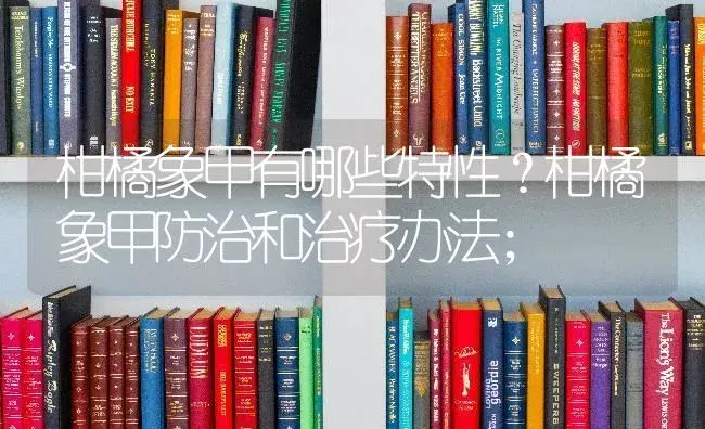 柑橘象甲有哪些特性？柑橘象甲防治和治疗办法； | 蔬菜种植