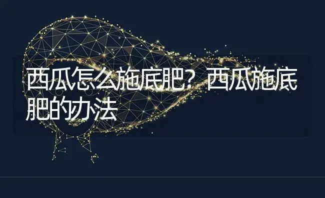 西瓜怎么施底肥？西瓜施底肥的办法 | 蔬菜种植