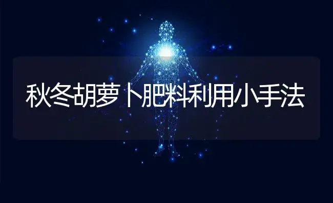 秋冬胡萝卜肥料利用小手法 | 蔬菜种植