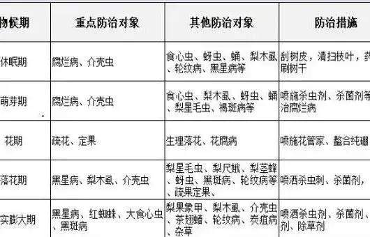 梨树病虫害防治时间表