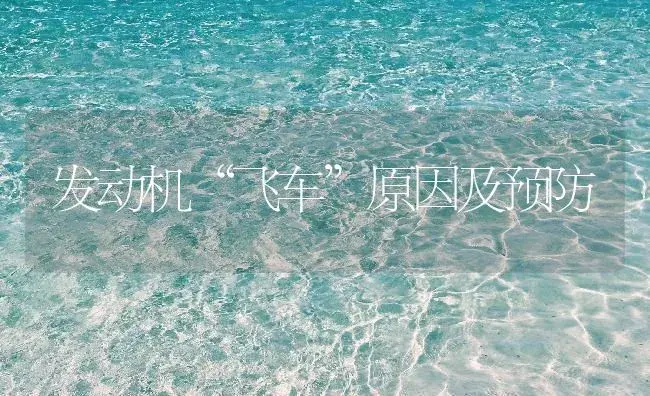 发动机“飞车”原因及预防 | 农资农机