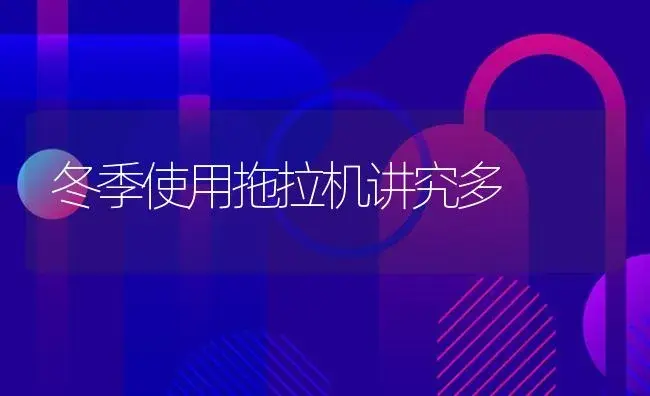 冬季使用拖拉机讲究多 | 农资农机
