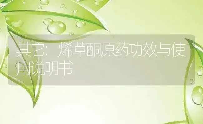 其它：烯草酮原药 | 适用防治对象及农作物使用方法说明书 | 植物农药