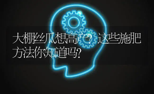 大棚丝瓜想高产？这些施肥方法你知道吗？ | 蔬菜种植