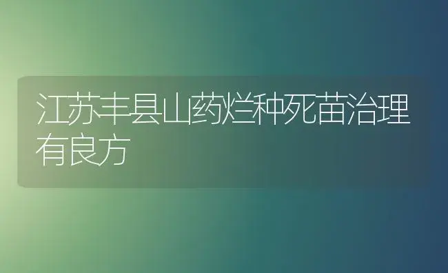 江苏丰县山药烂种死苗治理有良方 | 植物农药