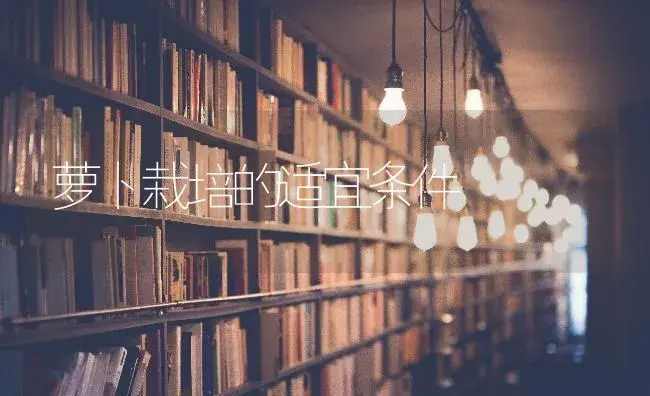 萝卜栽培的适宜条件 | 蔬菜种植