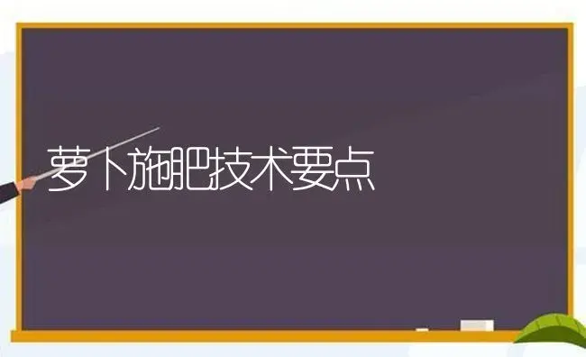 萝卜施肥技术要点 | 植物肥料