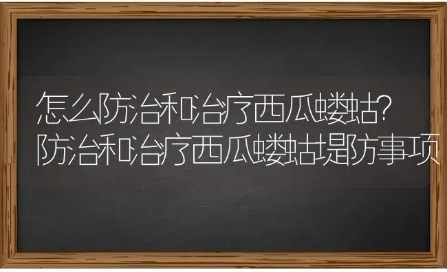 怎么防治和治疗西瓜蝼蛄？防治和治疗西瓜蝼蛄堤防事项 | 蔬菜种植