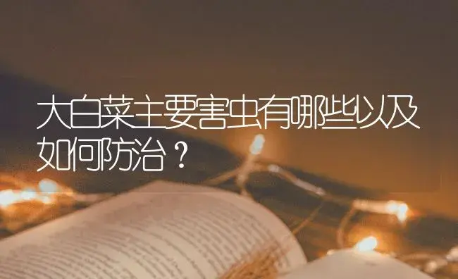 大白菜主要害虫有哪些以及如何防治？ | 蔬菜种植