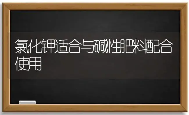 氯化钾适合与碱性肥料配合使用 | 植物肥料