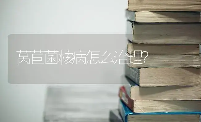 莴苣菌核病怎么治理？ | 蔬菜种植