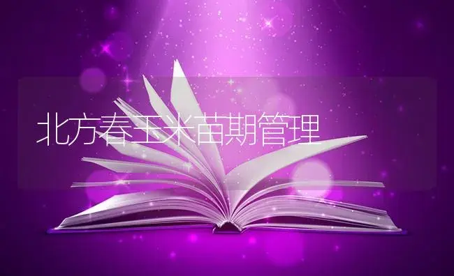 北方春玉米苗期管理 | 蔬菜种植