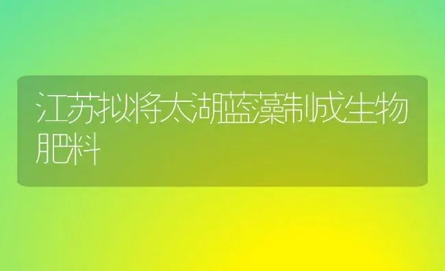 江苏拟将太湖蓝藻制成生物肥料 | 植物肥料