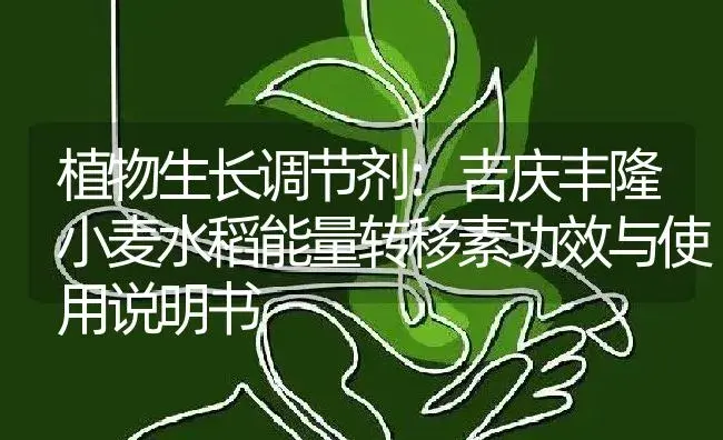 植物生长调节剂：吉庆丰隆小麦水稻能量转移素 | 适用防治对象及农作物使用方法说明书 | 植物农药