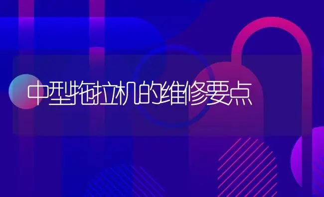 中型拖拉机的维修要点 | 农资农机