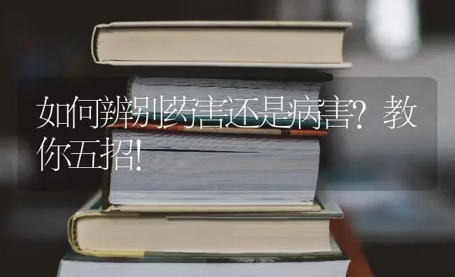 如何辨别药害还是病害？教你五招！ | 蔬菜种植