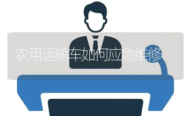 农用运输车如何应急维修 | 农资农机