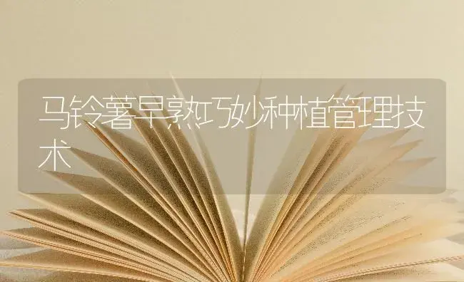 马铃薯早熟巧妙种植管理技术 | 蔬菜种植