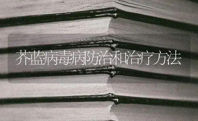 芥蓝病毒病防治和治疗方法 | 蔬菜种植