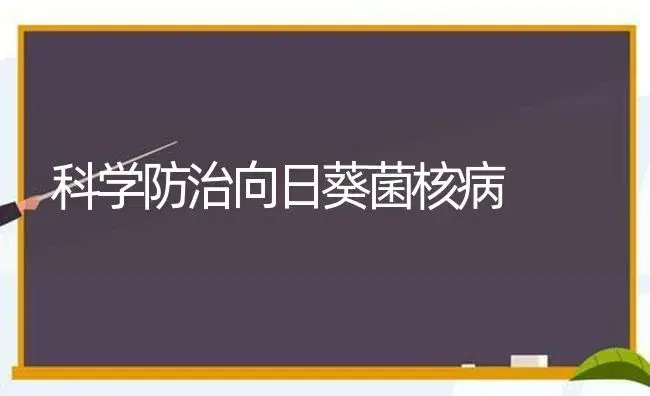 科学防治向日葵菌核病 | 植物病虫害