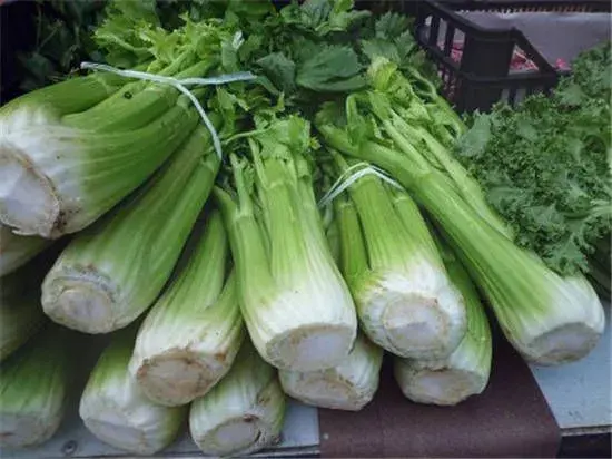 2018年种芹菜赚钱吗?价格行情如何?种一亩大约赚多少钱?（附最新价格）
