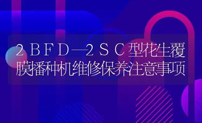 2BFD—2SC型花生覆膜播种机维修保养注意事项 | 农资农机