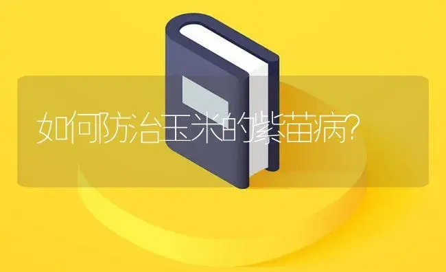 如何防治玉米的紫苗病？ | 植物病虫害