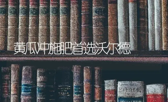 黄瓜冲施肥首选沃尔德 | 蔬菜种植