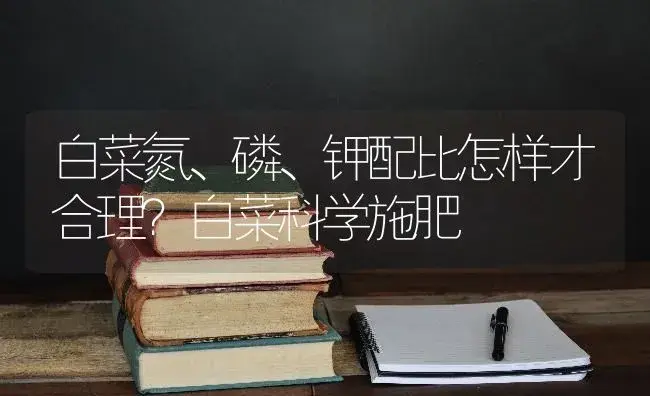 白菜氮、磷、钾配比怎样才合理？白菜科学施肥 | 蔬菜种植