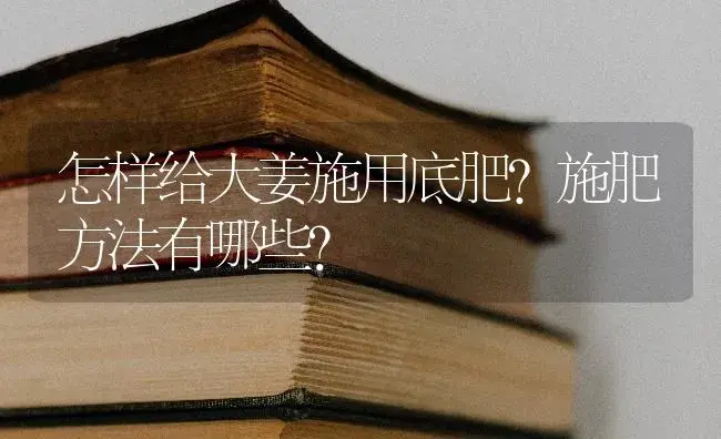 怎样给大姜施用底肥？施肥方法有哪些？ | 蔬菜种植