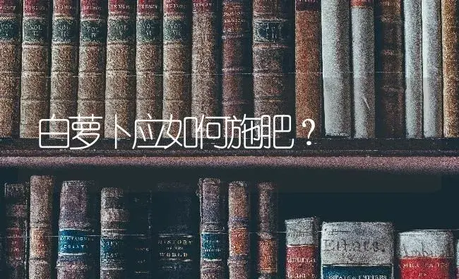 白萝卜应如何施肥？ | 蔬菜种植