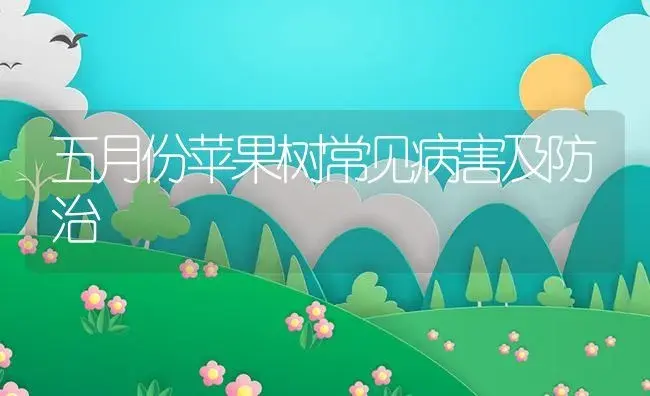 五月份苹果树常见病害及防治 | 植物病虫害