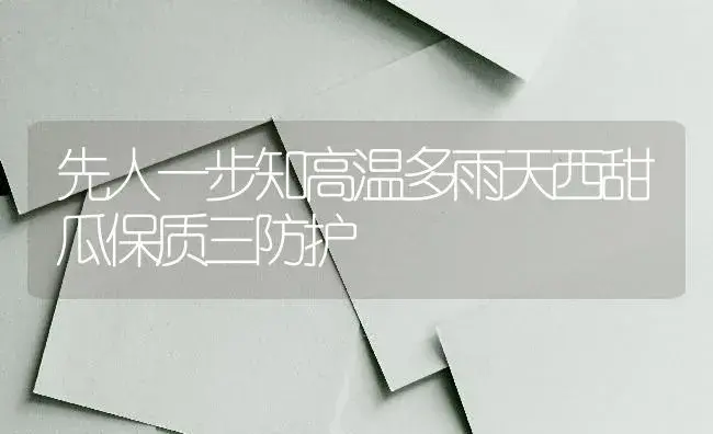 先人一步知高温多雨天西甜瓜保质三防护 | 蔬菜种植