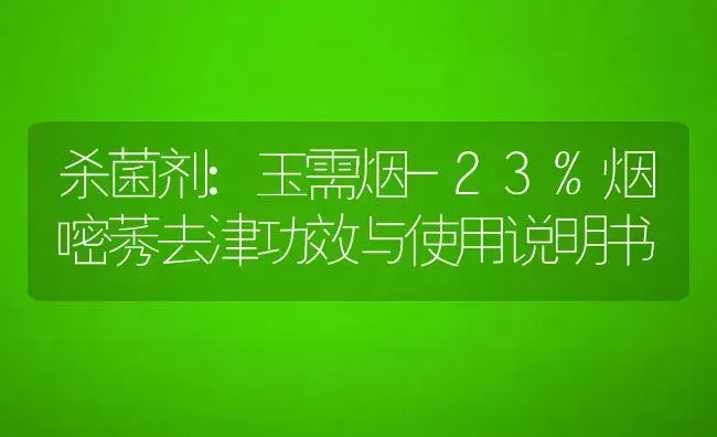 杀菌剂：玉需烟-23%烟嘧莠去津 | 适用防治对象及农作物使用方法说明书 | 植物农药