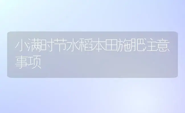 小满时节水稻本田施肥注意事项 | 植物肥料