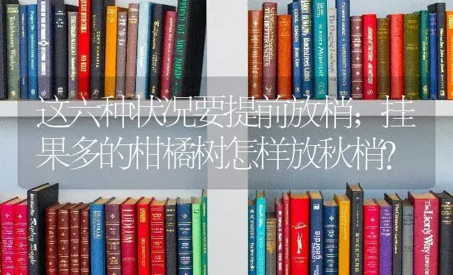 这六种状况要提前放梢；挂果多的柑橘树怎样放秋梢？ | 蔬菜种植