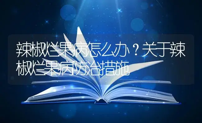 辣椒烂果病怎么办？关于辣椒烂果病防治措施 | 蔬菜种植